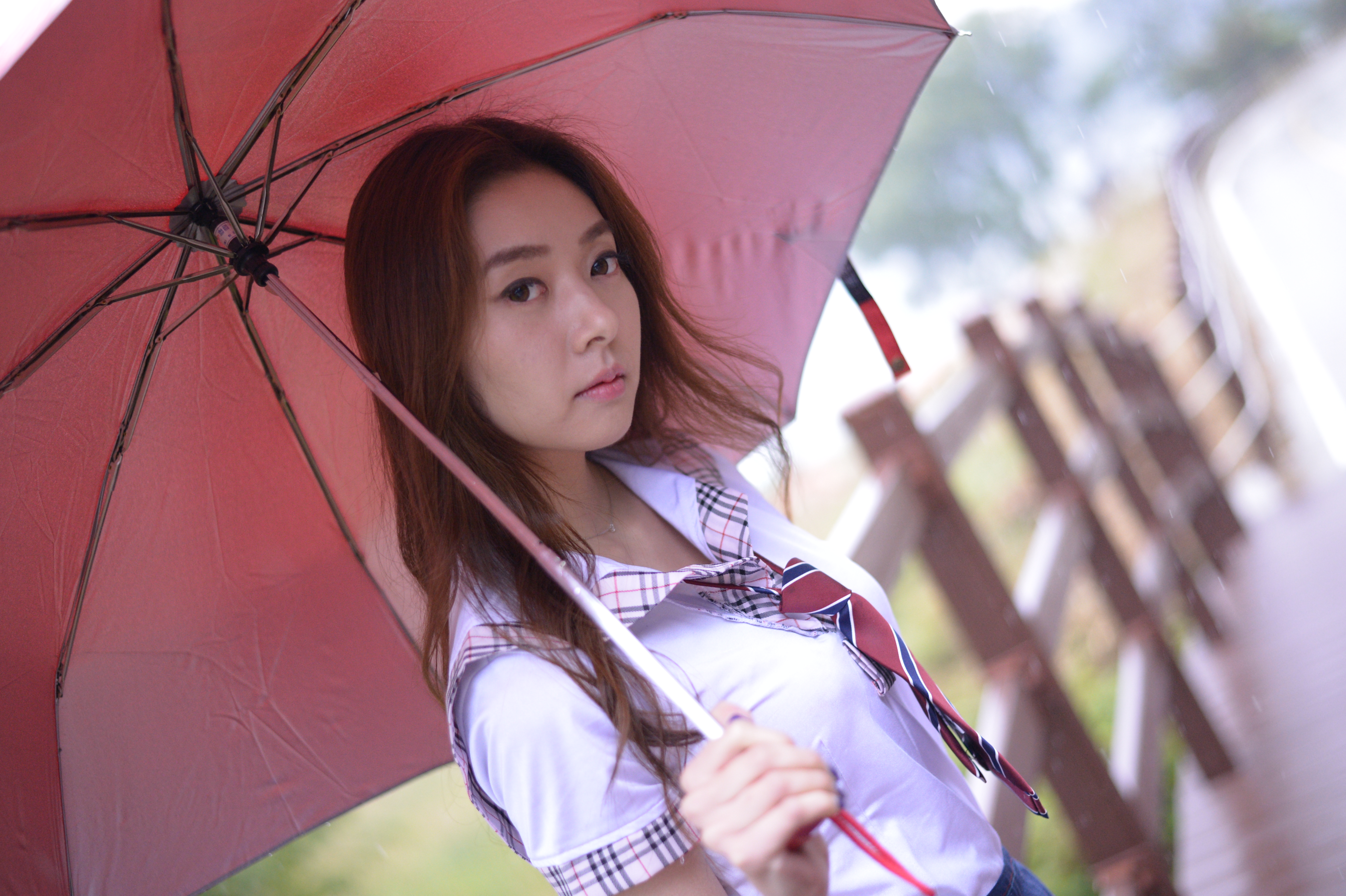 미분류 / 서연서 (레이싱걸 459장 2.60GB) 소프트